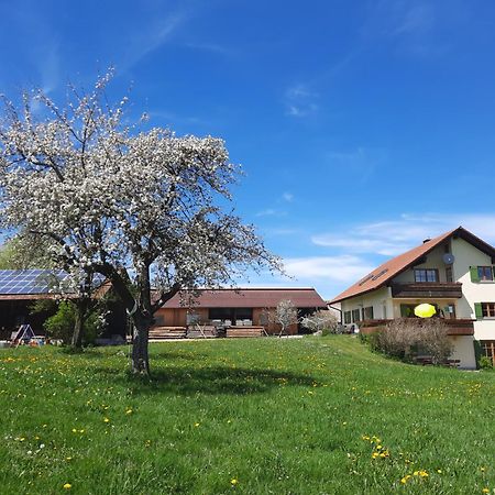 Ferienwohnung Bauer Haug Dietmannsried Exterior foto