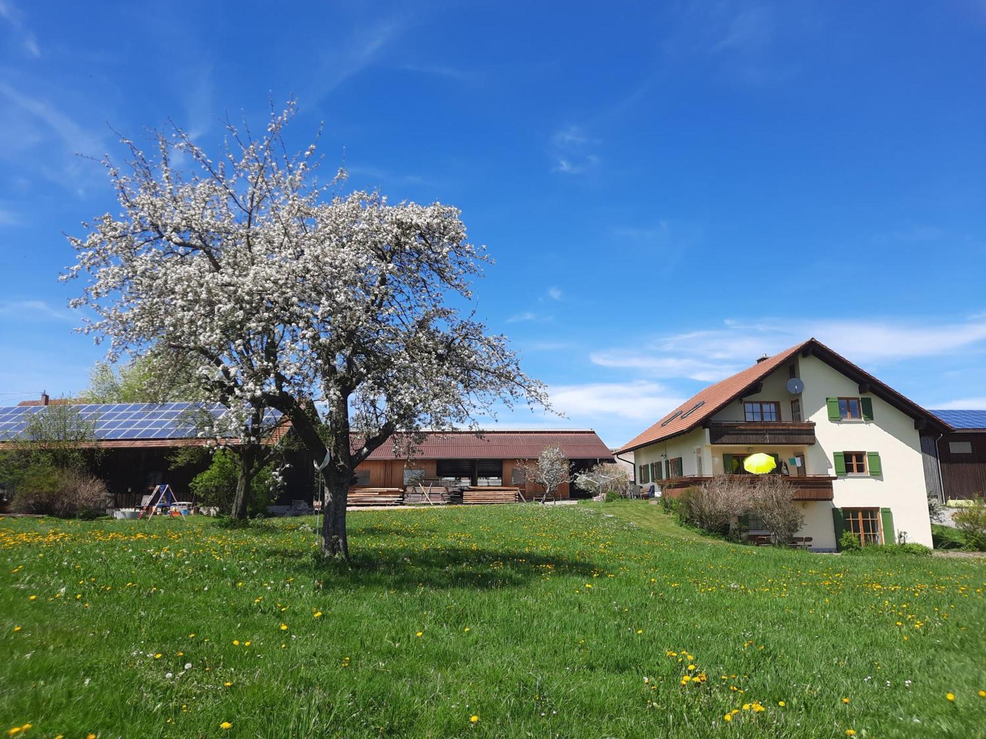 Ferienwohnung Bauer Haug Dietmannsried Exterior foto